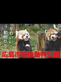 [x]広島市安佐動物公園の動物たち - YouTube