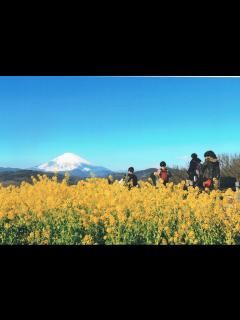 [x]e.特選「魅せられて」 | 湘南二宮町観光ナビ