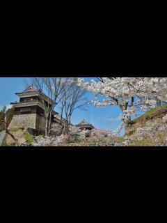 [x]上田城 総合サイト - 上田市ホームページ
