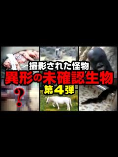 [x]撮影された怪物 異形の未確認生物 第4弾 - YouTube
