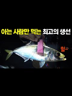 [x]회도 구이도 다 맛있는 생선 타작해서 맛있게 먹고 왔습니다 - YouTube