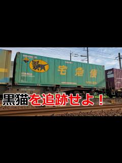 [x]全国で活躍する「ヤマト運輸」のトラックと鉄道コンテナを調査した - YouTube