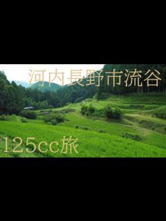 [x]大阪の自然、河内長野市流谷【田舎の風景 125cc旅】Osaka countryside, Kawachinagano city - YouTube
