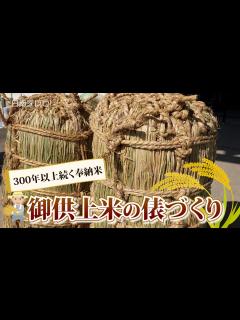[x]300年以上続く奉納米「御供上米」の俵づくり（宮崎県日南市） - YouTube