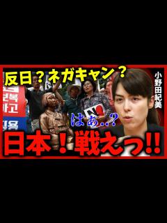 [x]【小野田紀美】某国はけしからん！日本よ！負けるな【国会中継】2022年5月13日 参議院 東日本大震災復興特別委員会 - YouTube