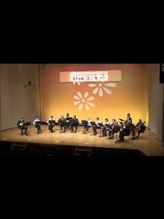 [x]ひまわり - YouTube