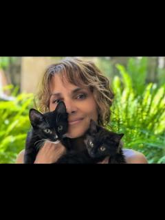[x]ハル・ベリー、『キャットウーマン』公開20周年を記念して大胆な写真を披露 - 動画 Dailymotion