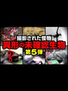 [x]撮影された怪物 異形の未確認生物 第5弾 - YouTube