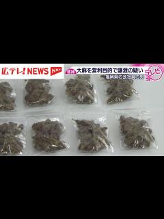 [x]大麻を営利目的で譲渡の疑い 福岡県に住む会社員の男を逮捕 広島（2025年10月2日掲載）｜日テレNEWS NNN