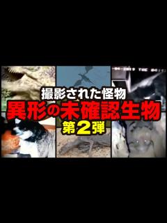 [x]撮影された怪物 異形の未確認生物 第2弾 - YouTube