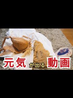 [x]仕事から帰ってきたのでスーツ生脱ぎを撮ってみました 3 - YouTube