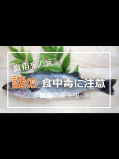 [x]クドア・イワタイ？！謎の食中毒に注意（食品衛生vol.3）#寄生虫 #料理 #釣り - YouTube