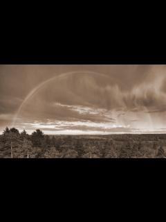 [x]RAIN - SEKAI NO OWARI（フル）メアリと魔女の花 - YouTube