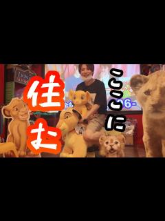 [x]ライオンキング好きにはたまらない夢の空間 - YouTube