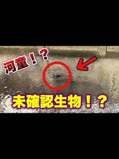 [x]未確認生物！？河童！？#uma #ghost #monster #specter #妖怪 #未確認生物 #yokai #apparition ...