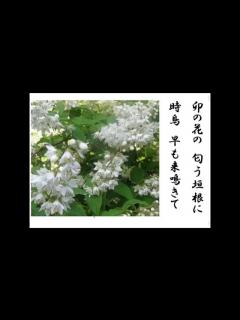 [x]詩吟 「夏は来ぬ(唱歌)」 佐々木信綱 - YouTube