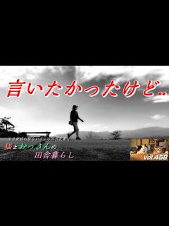 [x]大きな嘘をついてました..／一人晩酌トーク／おんぼろ古民家で、二匹の猫と田舎一人暮らしの日常vlog。群馬県邑楽町。【フカセン 第458話 ...