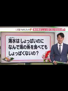 [x]海水はしょっぱいのに、なぜ海の魚を食べてもしょっぱくないのかを調べてみた！【ものしりっス】 - YouTube
