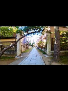 [x]千葉県市川市真間を歩く【今度こそ市川市編 part 1】【散歩208】 - YouTube